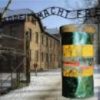 Auschwitz Studies